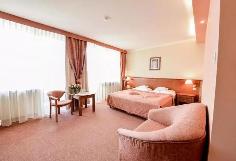 デラックスルーム, Spa Hotel Jawor