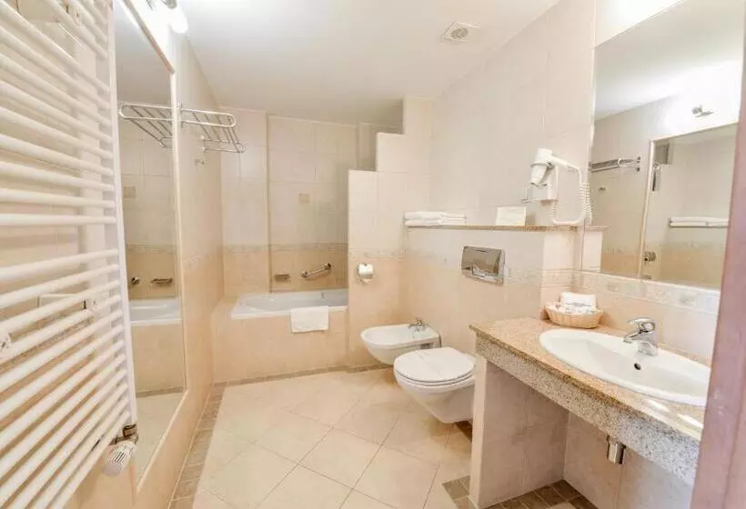 デラックスルーム, Spa Hotel Jawor