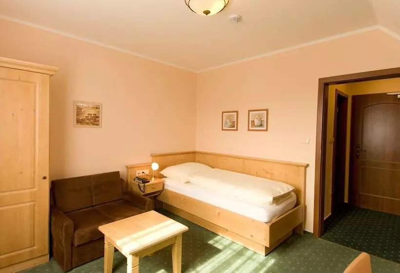 Standard Yhden Hengen Huone, Wellness Hotel Zlatá Lípa
