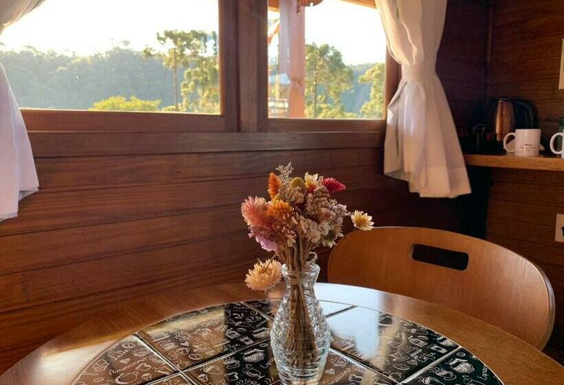 اتاق لوکس, Chão De Estrelas Cabanas