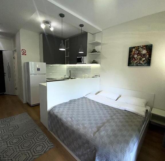 Standard Stúdió Erkéllyel, Shtil