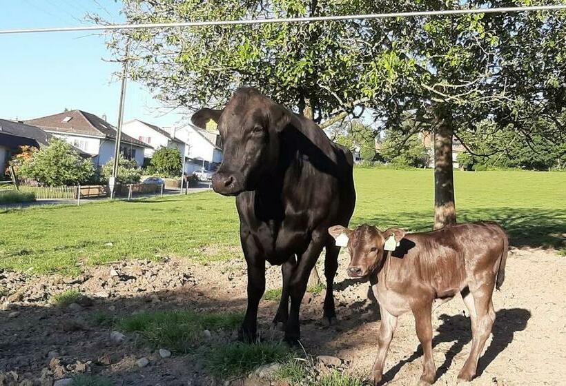 ２ベッドルームアパートメント, Uelis Stöckli Familienfreundliche Wohnung Auf Dem Bauernhof Mit Hotpot Und Alpakatrekking