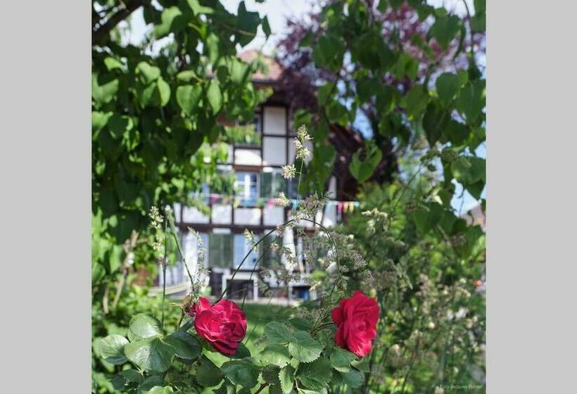 ２ベッドルームアパートメント, Uelis Stöckli Familienfreundliche Wohnung Auf Dem Bauernhof Mit Hotpot Und Alpakatrekking