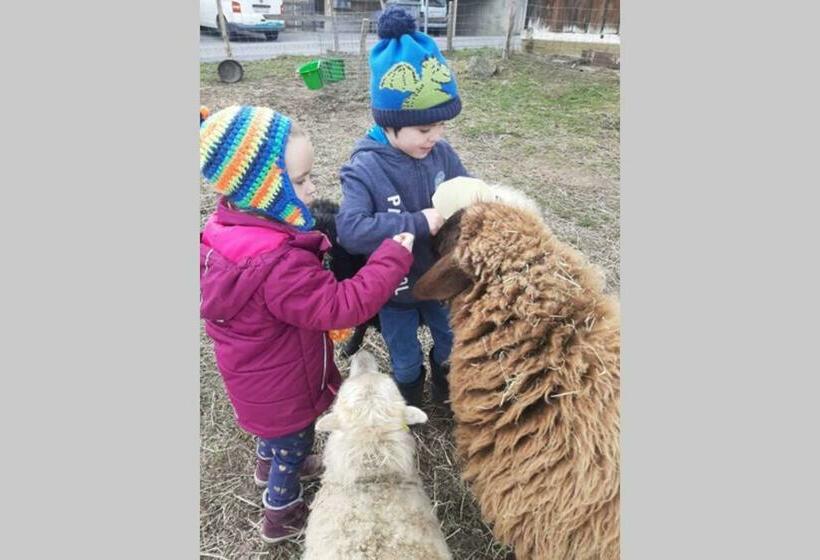 آپارتمان 2 خوابه, Uelis Stöckli Familienfreundliche Wohnung Auf Dem Bauernhof Mit Hotpot Und Alpakatrekking