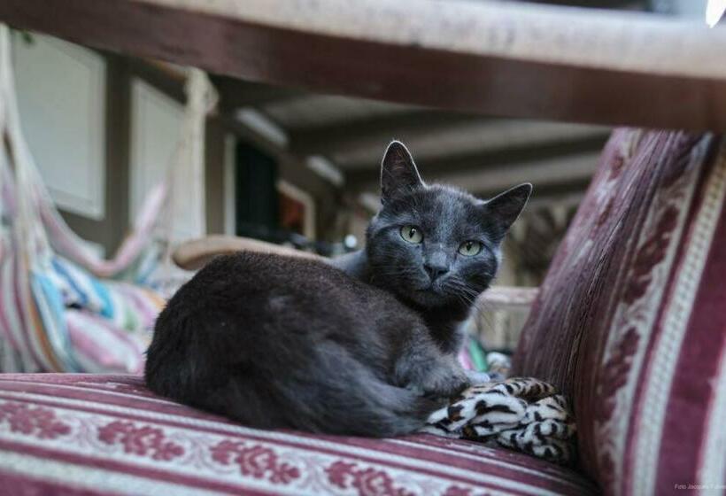 ２ベッドルームアパートメント, Uelis Stöckli Familienfreundliche Wohnung Auf Dem Bauernhof Mit Hotpot Und Alpakatrekking