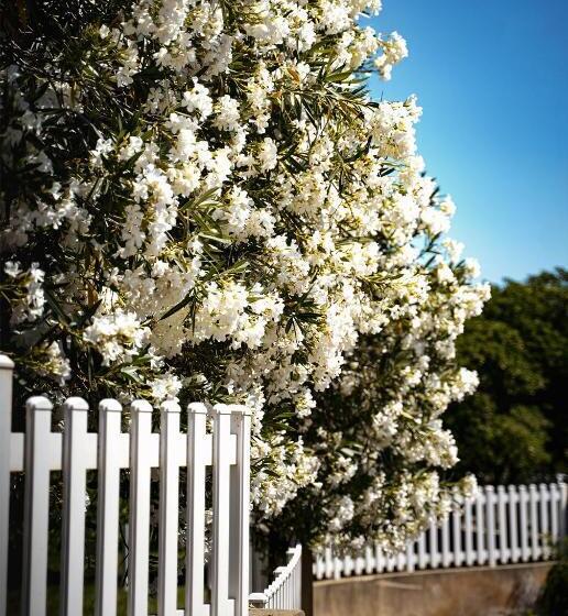 3间卧室的房子, Sous Les Pins Gîtes Et Chambres D Hôtes