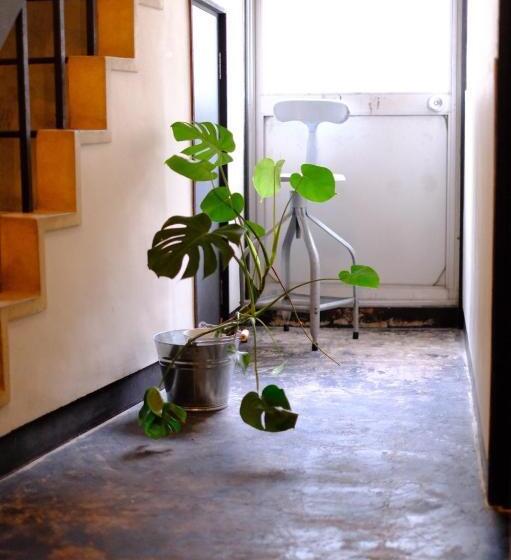 غرفة إقتصادية, Beppu Hostel&cafe Ourschestra