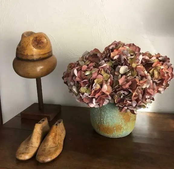 Standaardkamer met Uitzicht op de Tuin, Four De Cony
