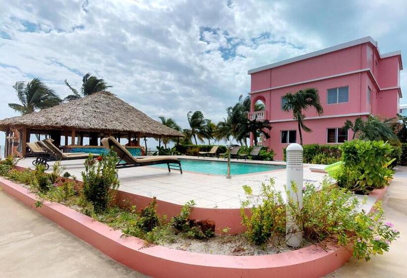 Студия Стандарт, Caribe Island Studio #2