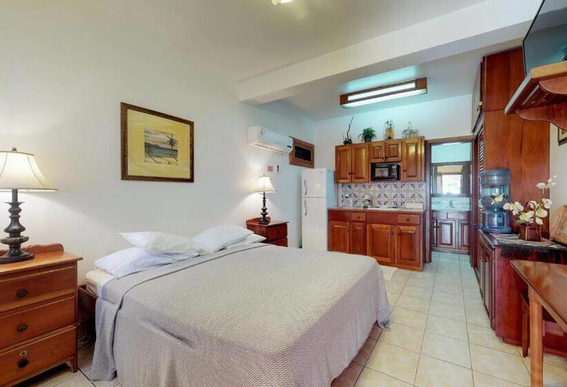 Студия Стандарт, Caribe Island Studio #2