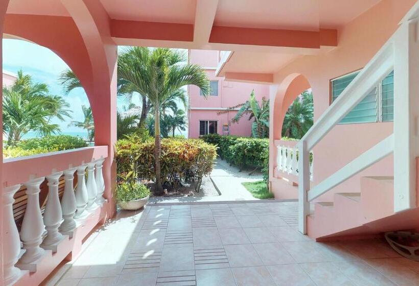 Студия Стандарт, Caribe Island Studio #2