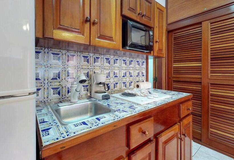 Студия Стандарт, Caribe Island Studio #2