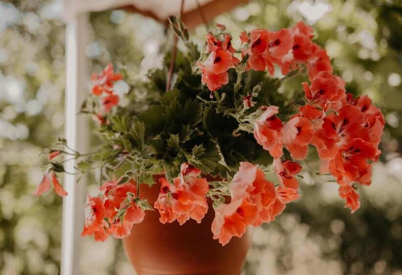 منزل غرفة نوم واحدة, Casa Dany