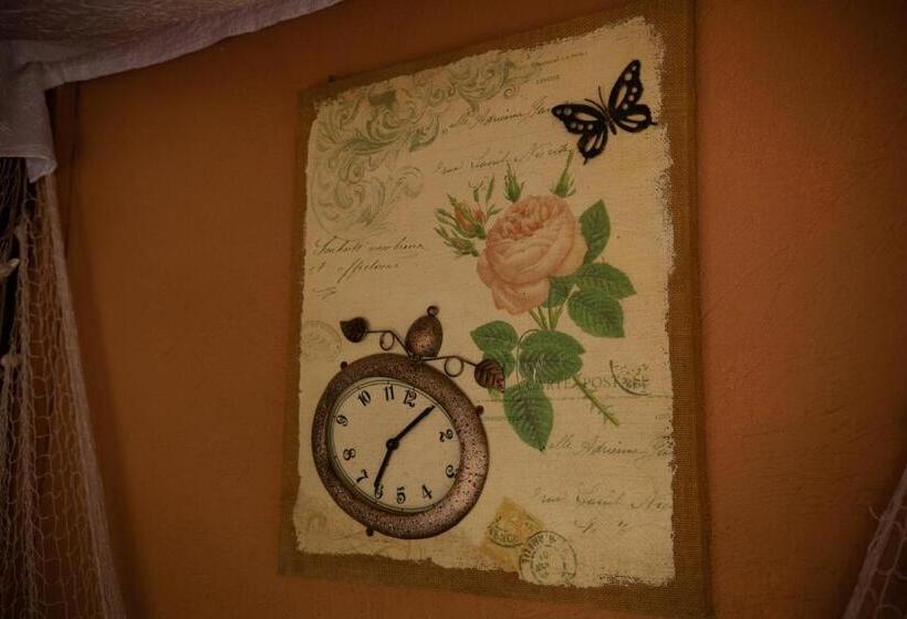 منزل غرفة نوم واحدة, Casa Dany