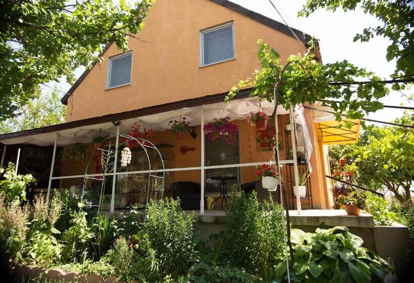 خانه 1 خوابه, Casa Dany