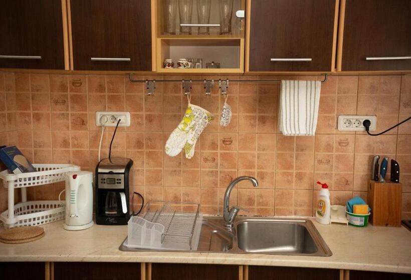 منزل غرفة نوم واحدة, Casa Dany