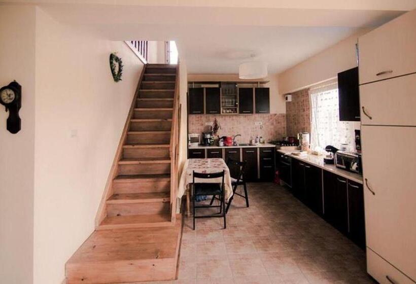 منزل غرفة نوم واحدة, Casa Dany