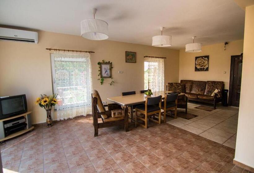 منزل غرفة نوم واحدة, Casa Dany