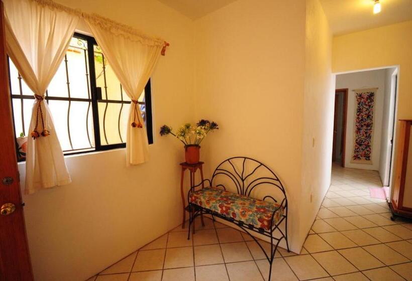 اتاق استاندارد, Casa Gecko