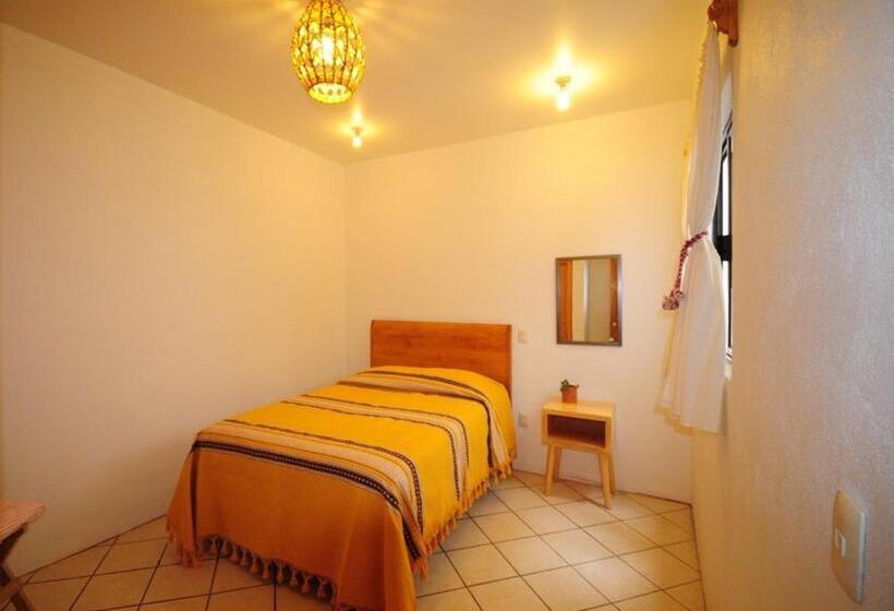 اتاق اکونومی, Casa Gecko