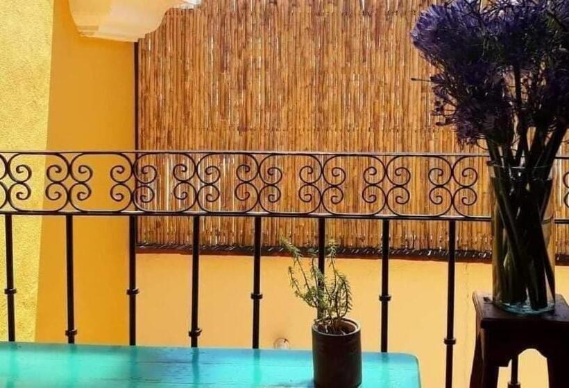 اتاق اکونومی, Casa Gecko