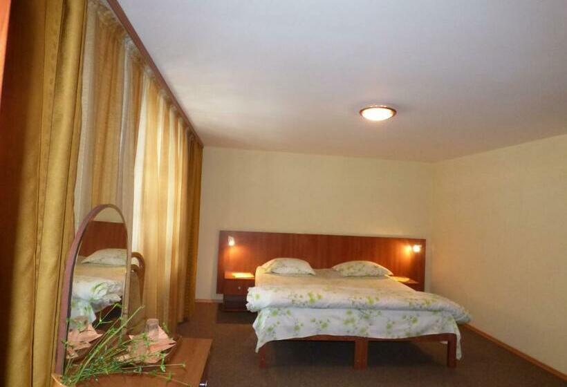 スタンダードルーム, Gura Padurii