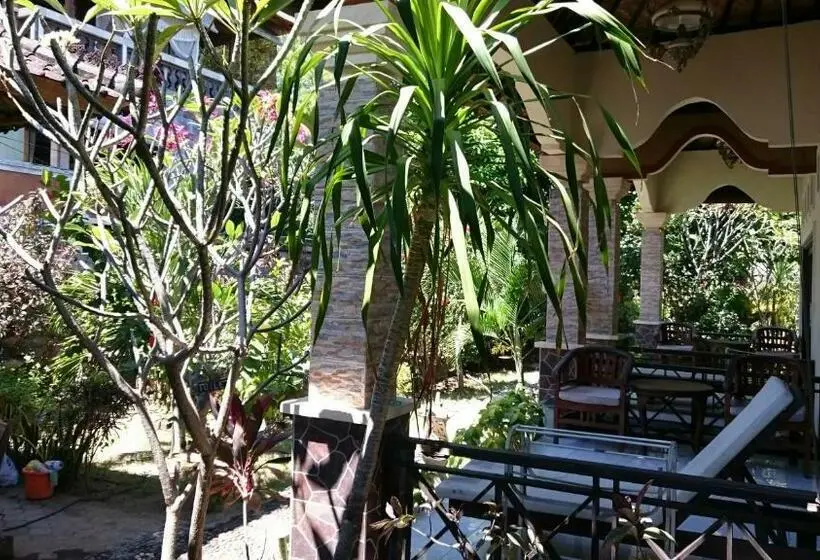 Standard Værelse m. Terrasse, Barracuda Beach Hostel
