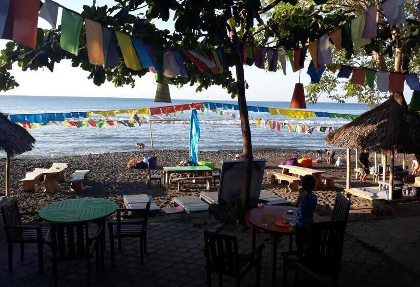 Quarto Estandar com Terraço, Barracuda Beach Hostel
