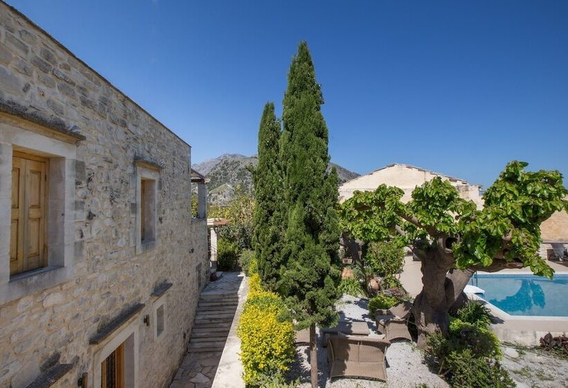 クラシックスイート, Arcus Suites