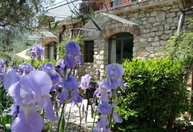2ベッドルームアパートメント, Agriturismo Fattoria Di Castiglionchio