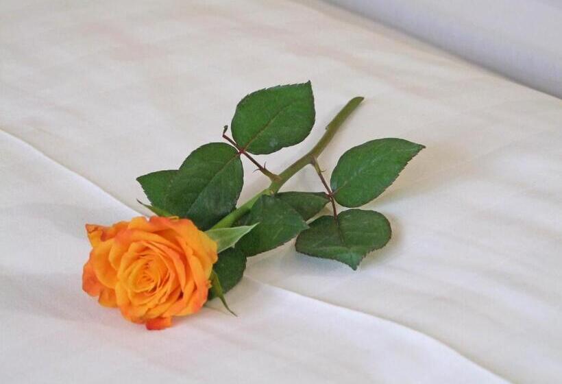 スタンダードトリプルルーム, Beller