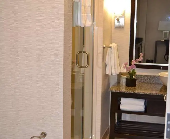 Standard-huone King-vuode, Embassy Suites Palmdale