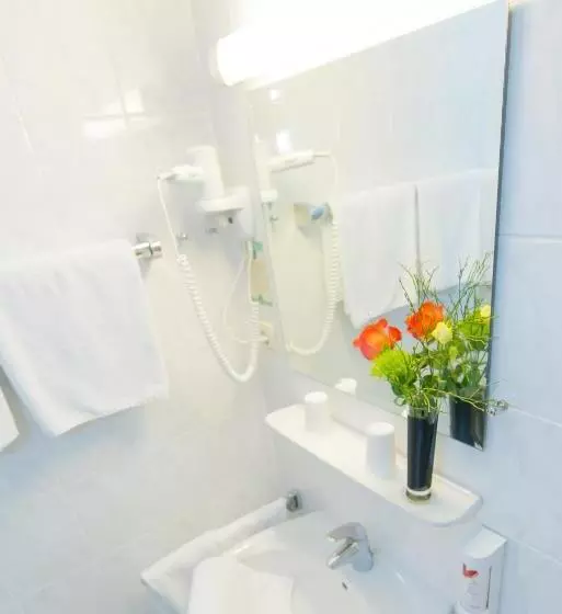 Standard Yhden Hengen Huone, Harzer Hof
