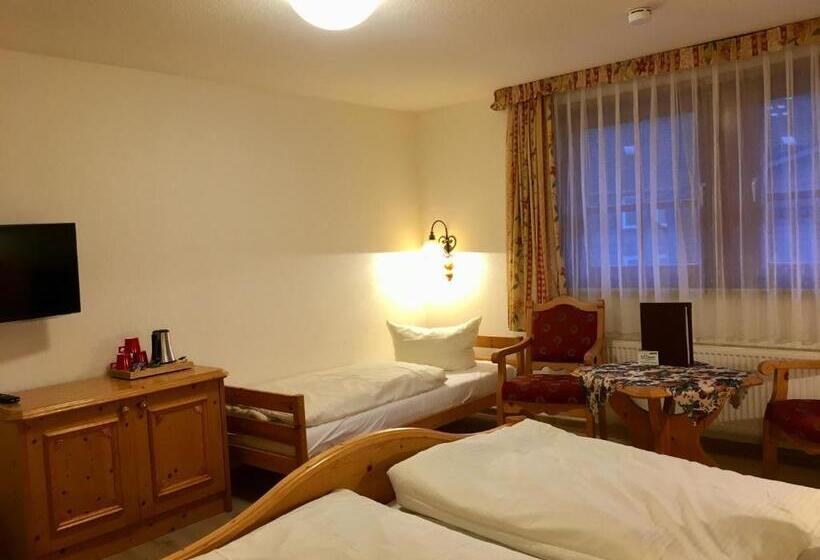 غرفة قياسية ثلاثية, Harzer Hof