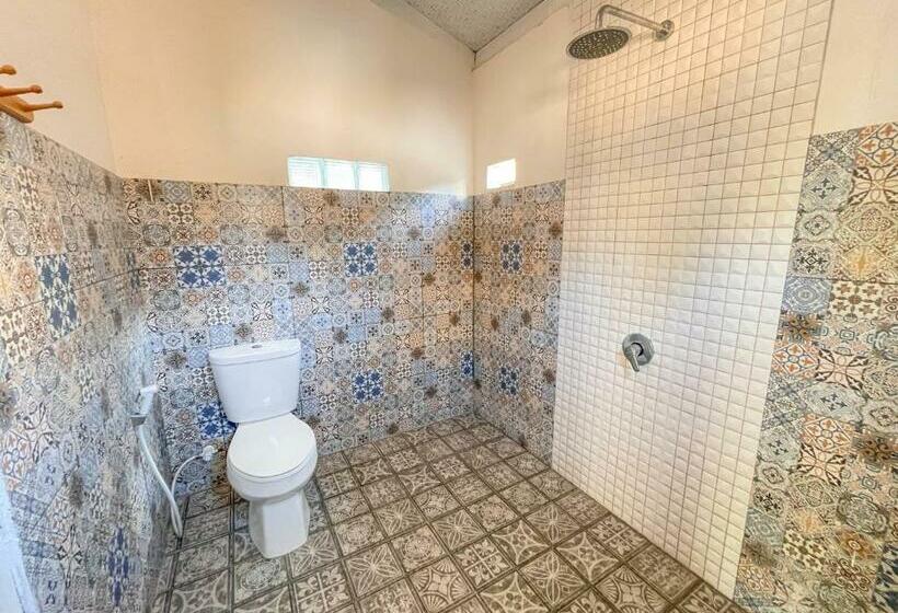 Номер Стандарт, Sedjiwa