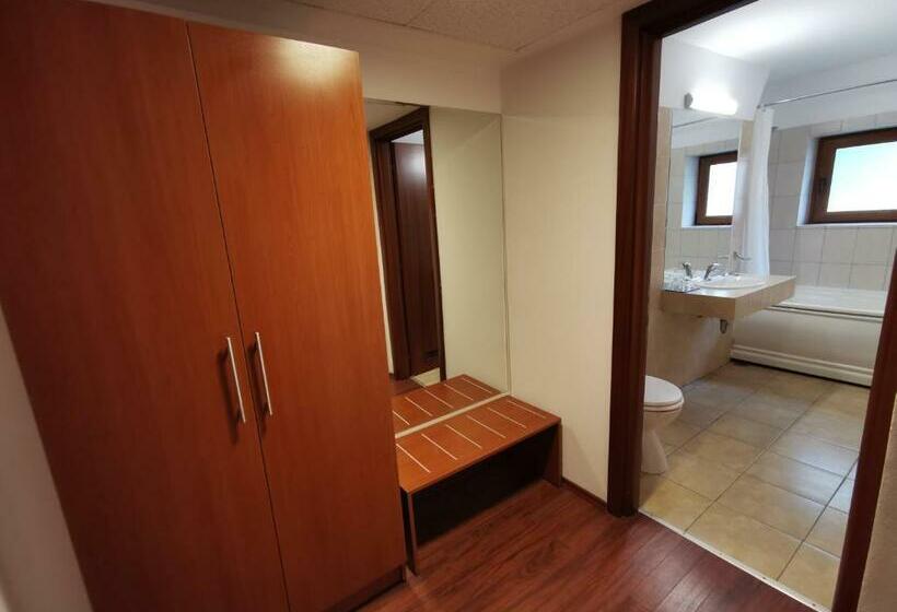 스탠다드 룸, Timisoara Sannicolau Mare