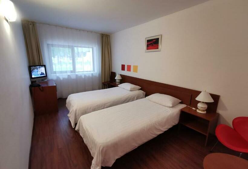 스탠다드 룸, Timisoara Sannicolau Mare