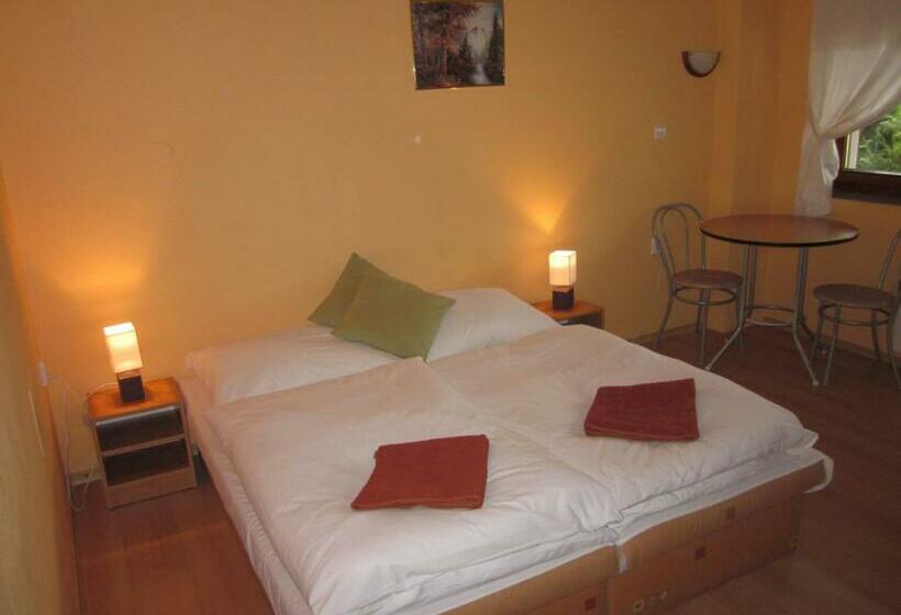 스탠다드 룸, Penzion Real