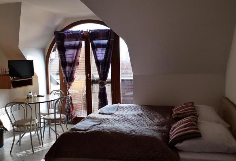 스탠다드 발코니 스튜디오, Penzion Real