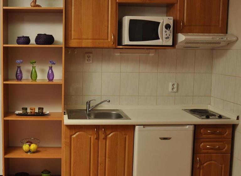 스탠다드 발코니 스튜디오, Penzion Real