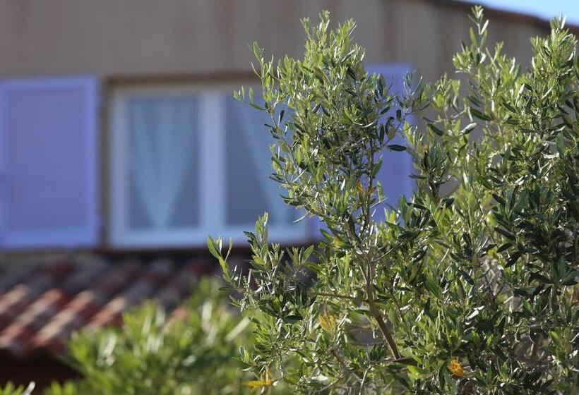 침실 2개 아파트, Casa Mia