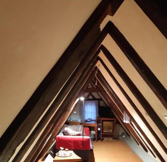 Номер Стандарт, Schiefes Haus