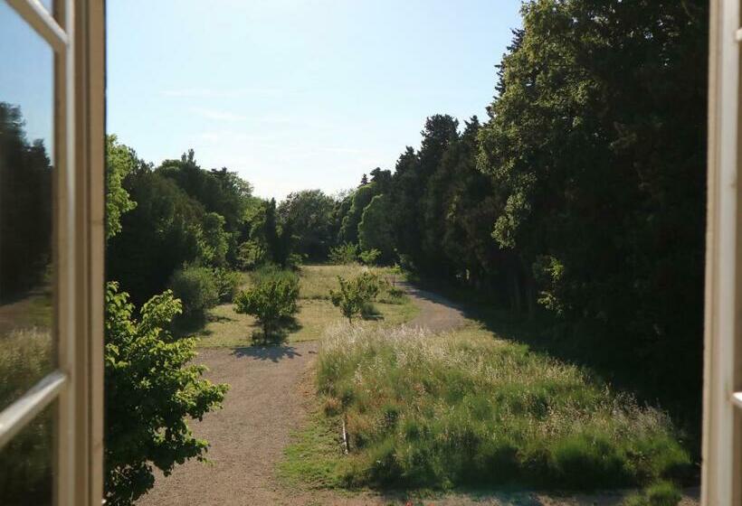 스탠다드 룸, Mas Du Rollier Chambres D Hôtes