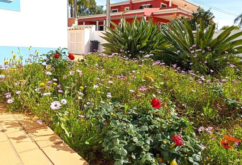 اتاق استاندارد با تخت بزرگ, Casa Azul