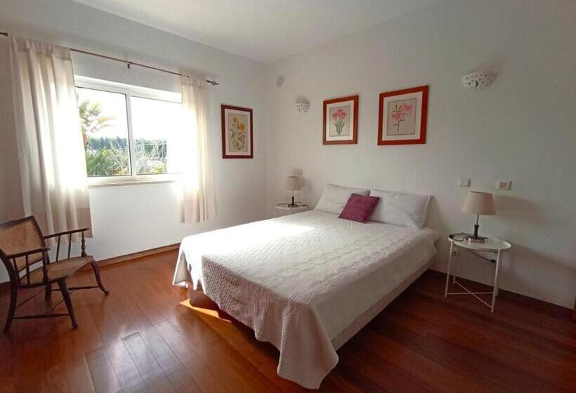 اتاق استاندارد با سرویس بهداشتی مشترک, Casa Azul