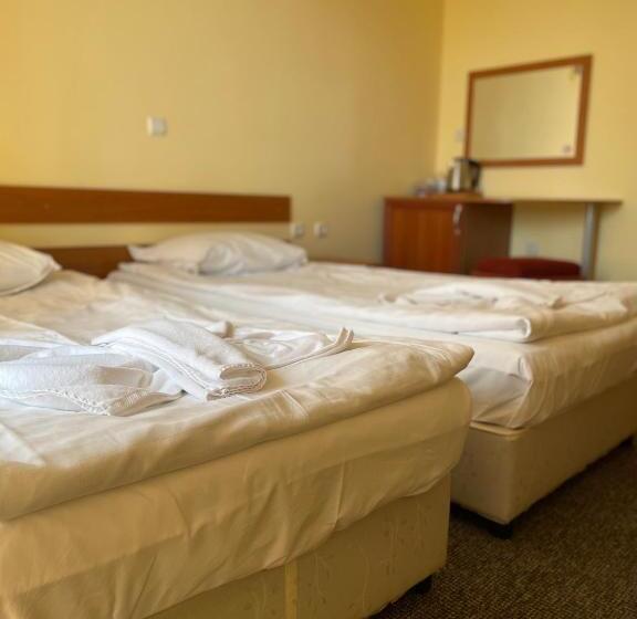 Номер Стандарт с Балконом, Family Hotel Deykin