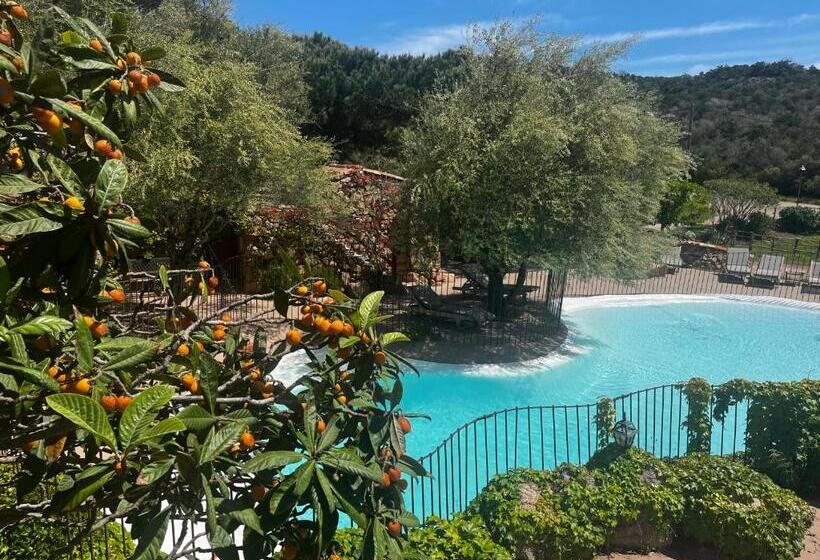 ファミリールーム, Ranch Campo Palombaggia