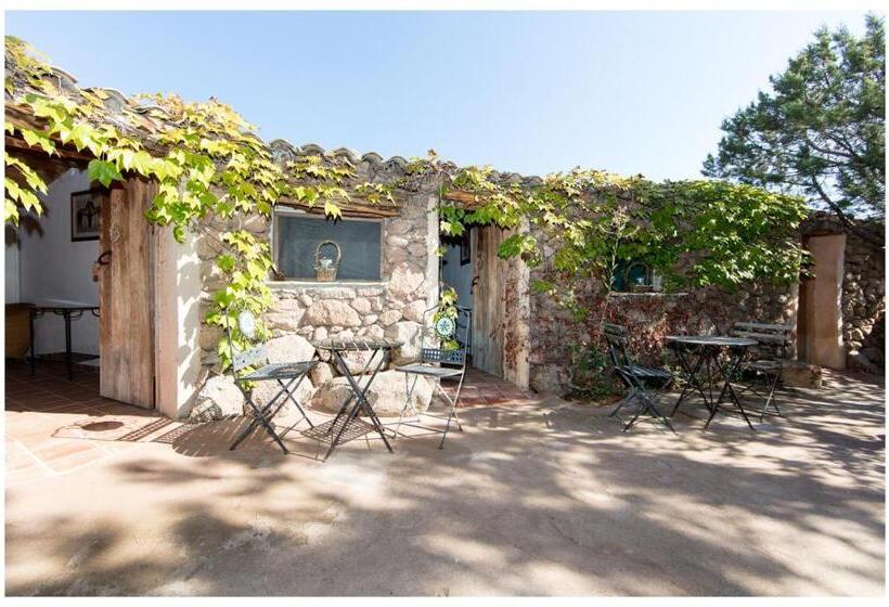 ファミリールーム, Ranch Campo Palombaggia