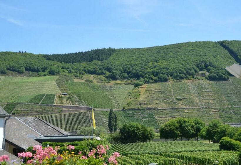 غرفة ديلوكس, Wein & Gästehaus Ballmann