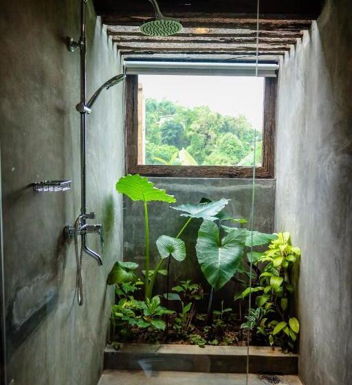 Номер Deluxe Кровать Кинг, Banana Bunks Kandy